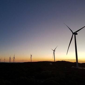 Brasil ultrapassa marca de 14 GW em capacidade eólica, afirma Abeeólica