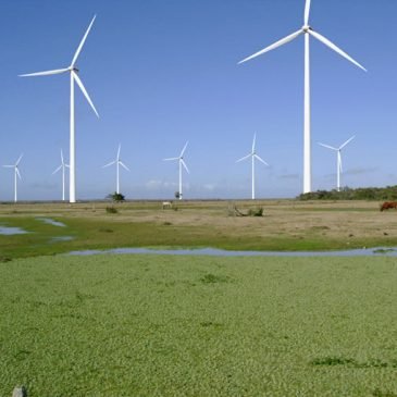 Estatal gaúcha CEEE coloca à venda parque eólico com obras paradas