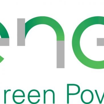 Enel Green Power começa a construir no Piauí maior parque eólico do país