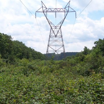 CNPE avaliará condições excepcionais para viabilizar linhão de energia em Roraima