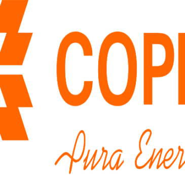 Copel contrata usinas com 444 MW em capacidade em leilão de energia eólica e solar