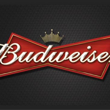 Budweiser vai construir parque eólico na Bahia